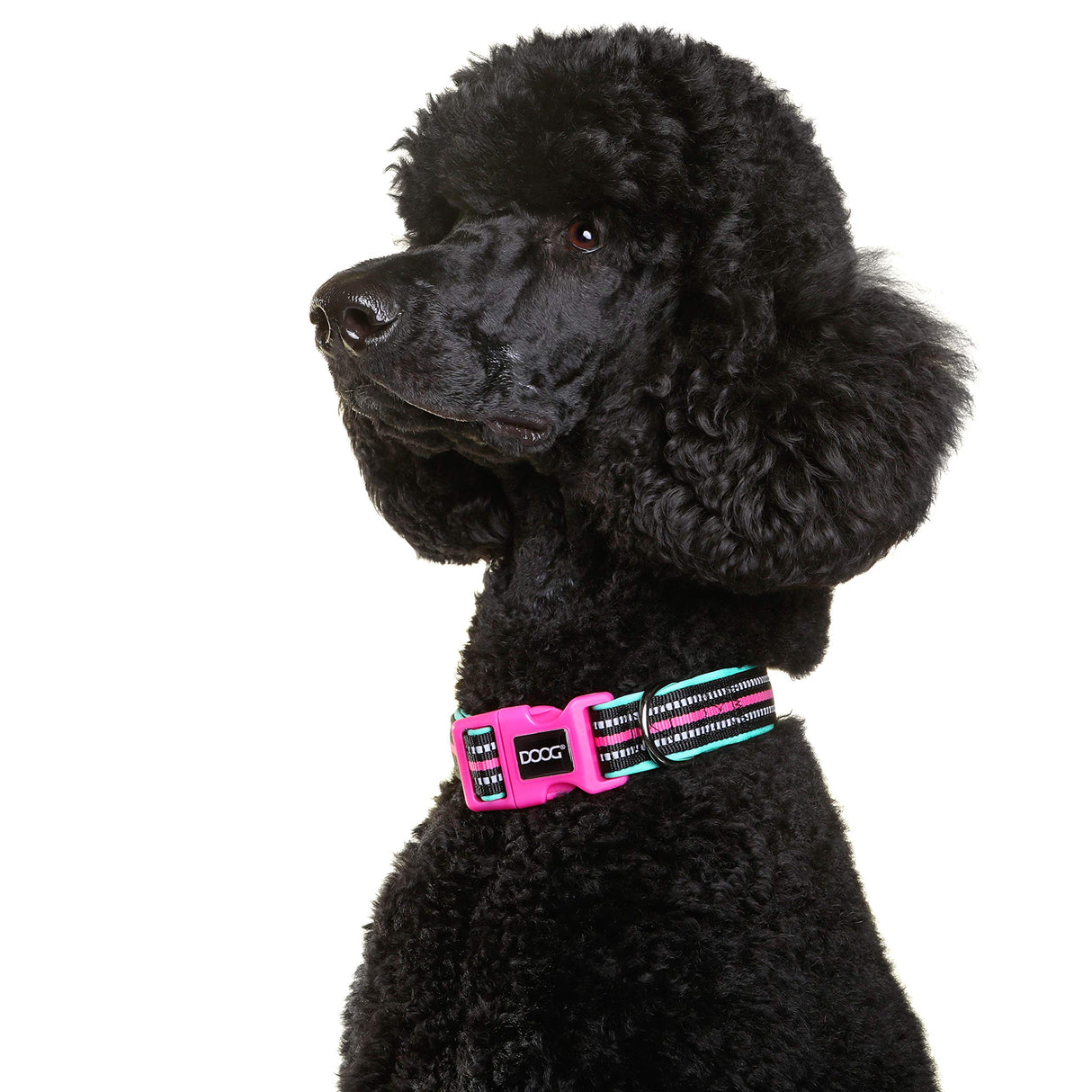 DOOG - Soft and Breathable Neoprene Padded Adjustable Dog Collar