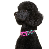DOOG - Soft and Breathable Neoprene Padded Adjustable Dog Collar