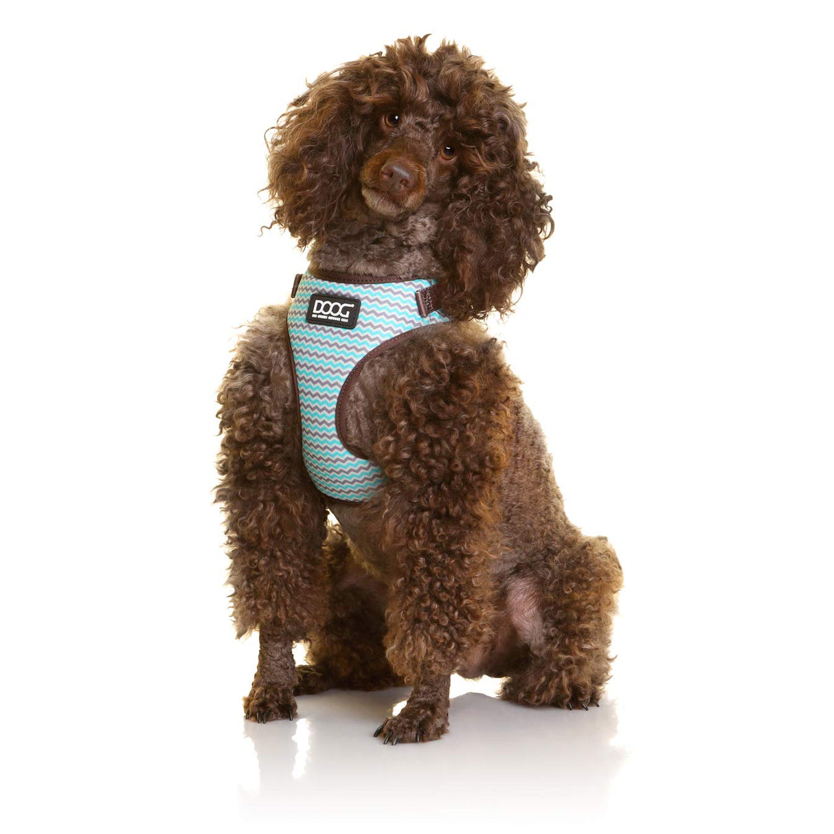 DOOG - All Weather 'Neoflex" Dog Harness, Flexible Neoprene Breathable Mesh Padding Light Wetsuit Material Water Friendly Draws Moisture Away Fir Skin Easy Fit Small, Medium, Large, XL Soft Comfortable 2 Point Adjustable Leash Training Run Walk Swim