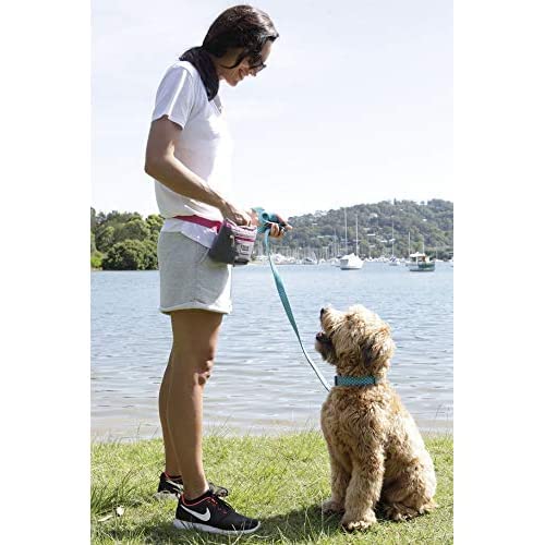 DOOG - Dog Lead (Small, Large & Clip-It Extra Large)