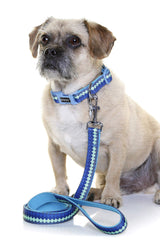 DOOG - Soft and Breathable Neoprene Padded Adjustable Dog Collar