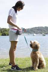 DOOG - Dog Lead (Small, Large & Clip-It Extra Large)