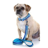 DOOG - Soft and Breathable Neoprene Padded Adjustable Dog Collar