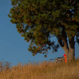 Allen Company 2337  Men's Softshell Blaze Hunting Vest -SIZE: Large, Blaze Orange