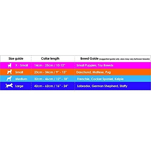 DOOG - Soft and Breathable Neoprene Padded Adjustable Dog Collar