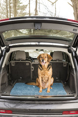 Dog Gone Smart Dirty Dog Microfiber Paw Doormat - Super Absorbent Dog Mat Keeps Paws & Floors Clean - Machine Washable Pet Door Rugs with Non-Slip Backing